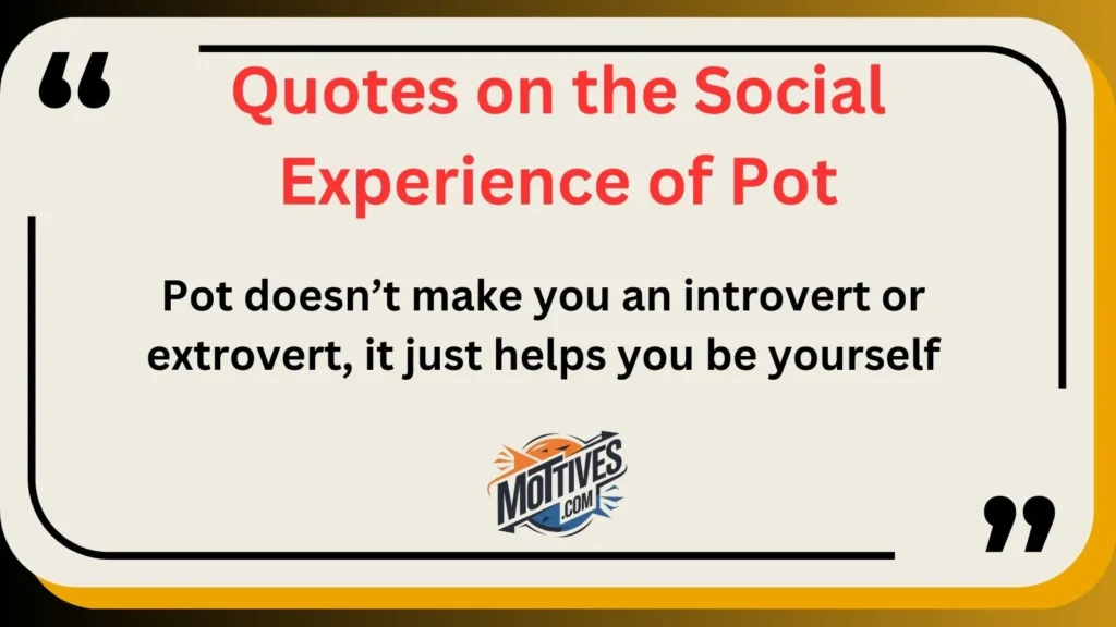 Quotes on the Social Experience of Pot