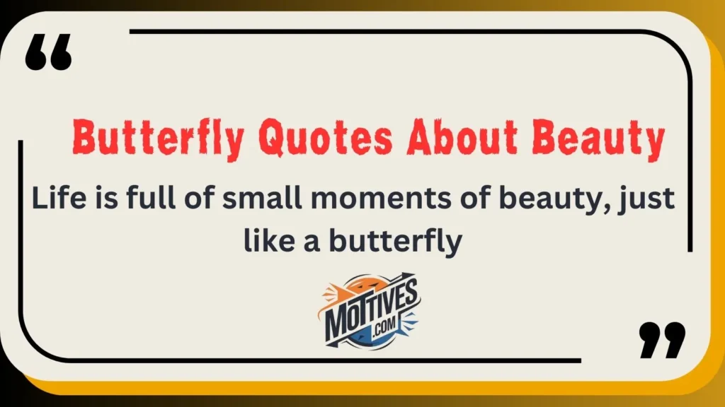 Butterfly Quotes About Beauty