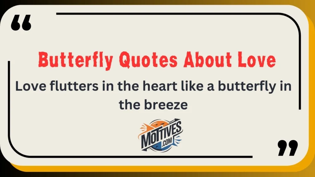 Butterfly Quotes About Love