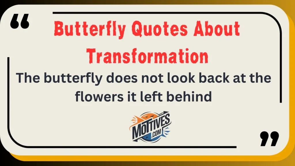 Butterfly Quotes About Transformation