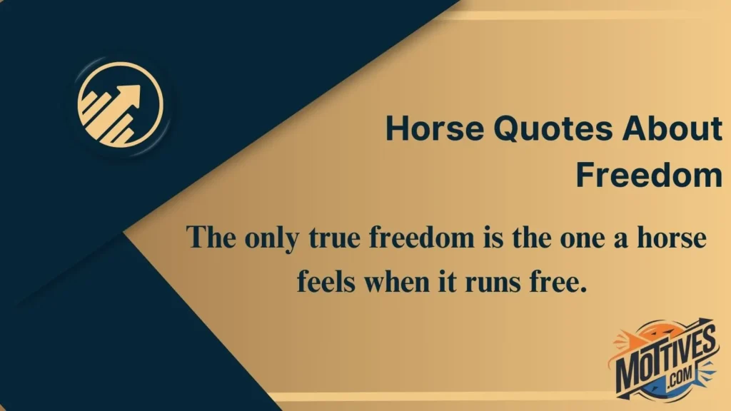 Horse Quotes About Freedom