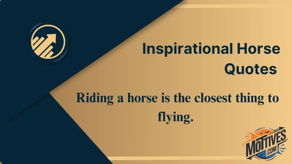 Inspirational Horse Quotes 